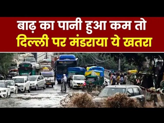 Delhi Flood Update: दिल्ली में मंडराया सांप का खतरा | सरकार ने जारी किए हेल्पलाइन नंबर