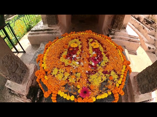 Bodh gaya The Bodhi Tree under which Gautama Buddha is said to have obtained Enlightenment