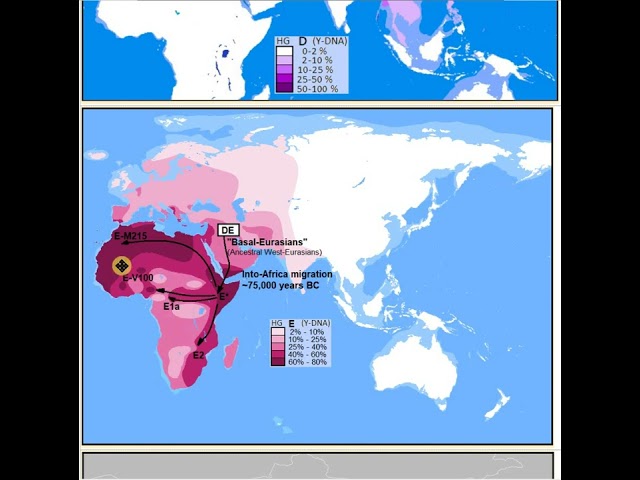 #ENG - HAPLOGROUP "D" AND "E" ("DE", y-DNA) (part 01/02) #V 006