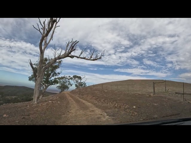 Postcard Bridle Track