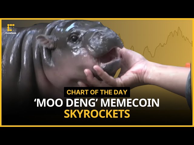 Hippo Meme Token Inspired by 'Moo Deng' Skyrockets | Chart of the Day