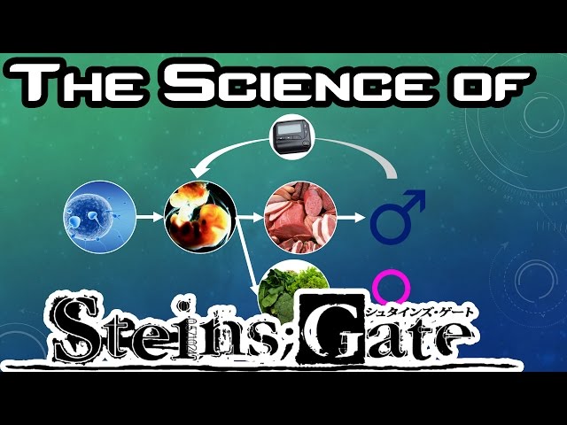 The Science of Steins;Gate Panel Onicon 2016 (360 video)