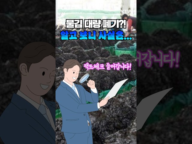 물김 대량 폐기?! 진실은 이렇습니다!​ #물김 #김 #양식업 #폐기사태 #팩트체크