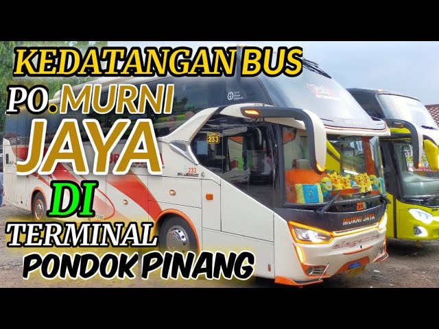 KEDATANGAN || PO MURNI JAYA|| SCORPION E233 Di || Terminal Pondok Pinang