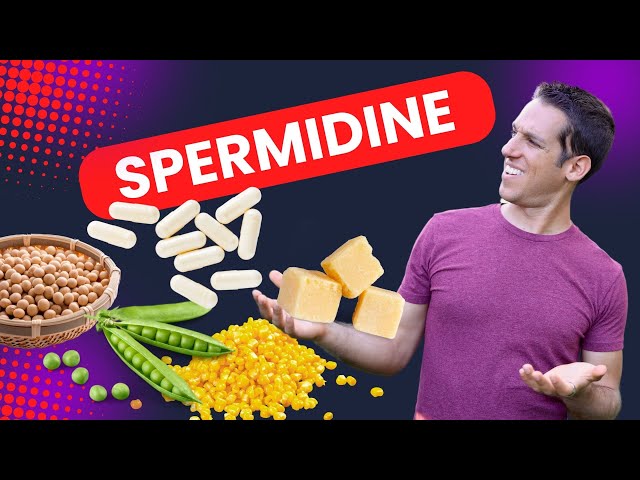 The Power of Spermidine: Boost Longevity and Cellular Health