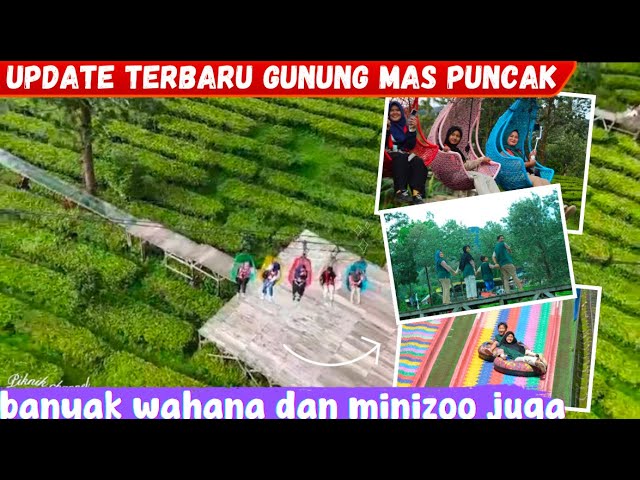 TEMPAT WISATA DI PUNCAK YANG LAGI VIRAL‼️AGROWISATA GUNUNG MAS PUNCAK BOGOR 2025