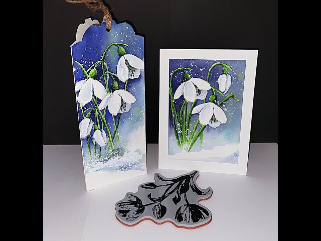 Snowdrops