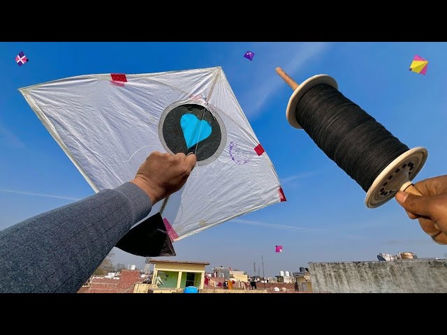 Kite Flying On Sunday | Kite Cutting | Kite Fight | Kite