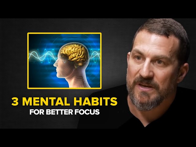 Neuroscientist: How to Increase Focus and Productivity | Andrew Huberman