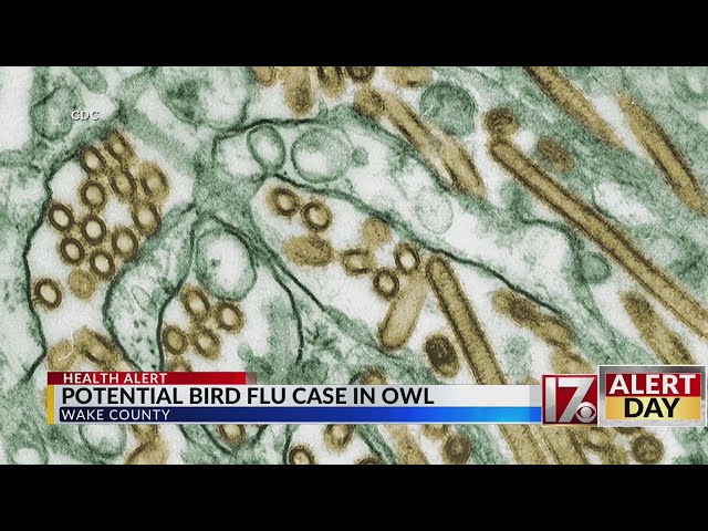 Potential bird flu case in Wake County