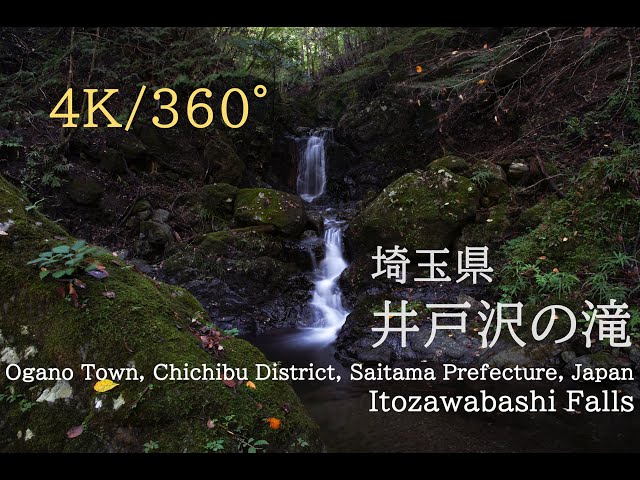 【4K・360度映像】埼玉県・井戸沢橋の滝