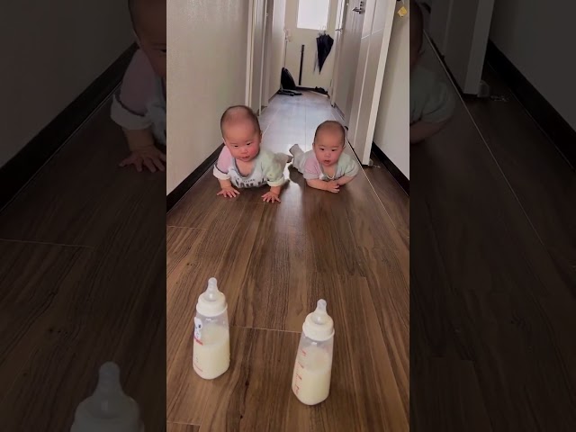 These Adorable Twin Babies Will Amaze You With Their Talents! 😍❤️ #shorts