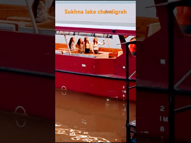 Sukhna Lake Chandigrah || #sukhnalakechandigarh #shorts