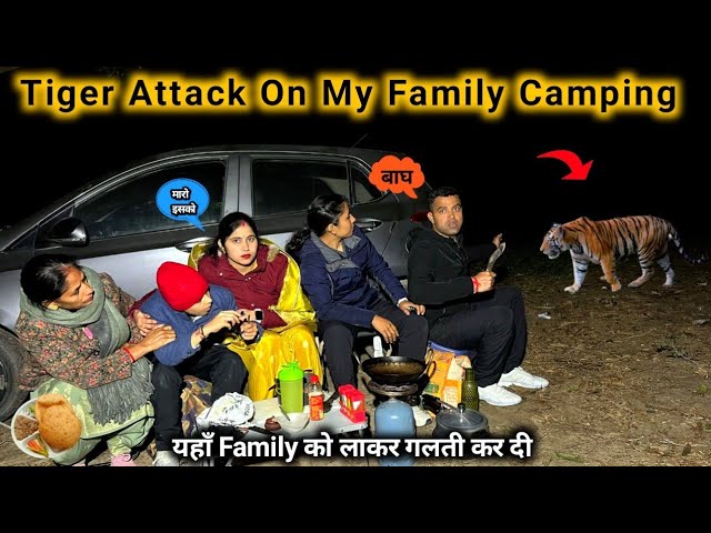 Tiger 🐅 Attack On My Family | Night Camping In Forest | Family Camping In India Jungle Camping Video