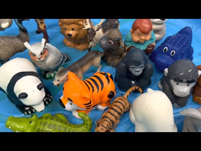 Zoo Animal Toys Washing