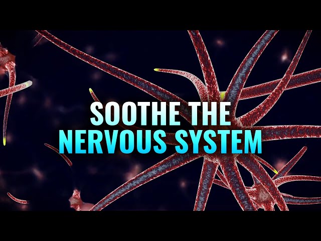 Soothe the Nervous System - Heal Your Vagus Nerve, Nerve Healing Binaural Beats - Nerve Regeneration