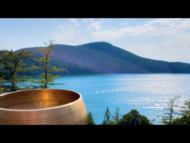 One Minute Tibetan Singing Bowl - A Moment of Peace - 1 Minute Sound Meditation