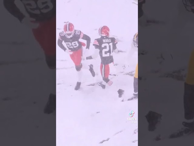 SNOW ❄️ BLIZZARD 🥶 FOOTBALL 🏈 Steelers Versus 🆚 Browns This Quarterback Just Got Blasted