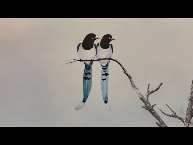 The amazing thing about ink painting! You can draw a magpie with just 6 simple strokes!