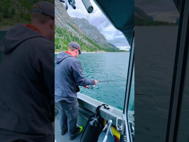 EPIC Mountain Fishing!! #canada #mountains #fishing