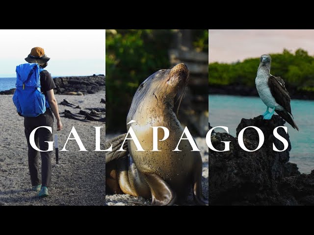 Exploring the Galápagos Islands | Ecuador