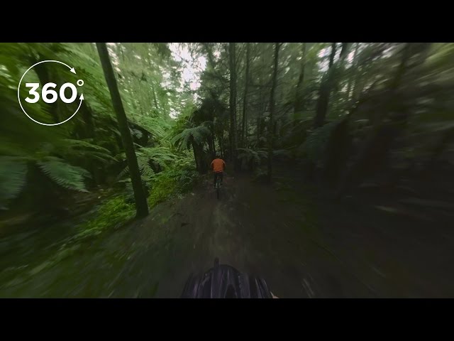 Choose a place where nature is your playground - 360 Virtual Reality