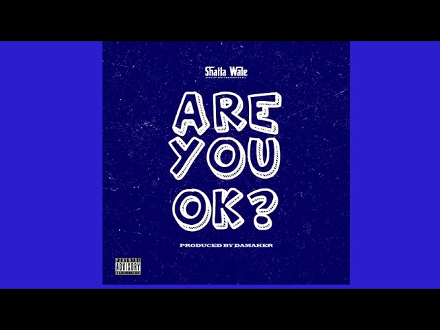 Shatta Wale - Are You Ok? (Audio Slide)