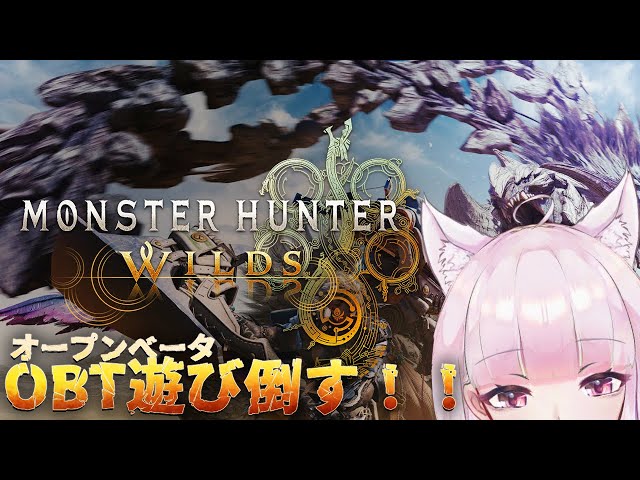 【MHワイルズ】ベータ版2！アルシュベルト...リベンジだ！！