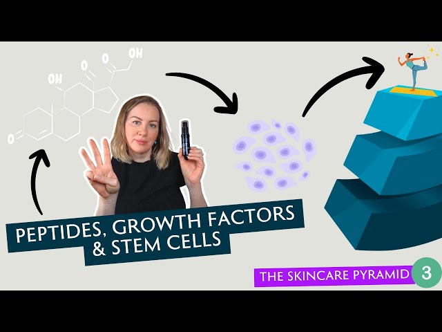 The Role Of Peptides, Growth Factors & Stem Cells Inside Your Skincare