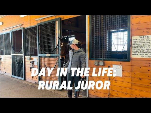 RURAL JUROR (Day in the Life), Adoptable Thoroughbred Mare, New Vocations