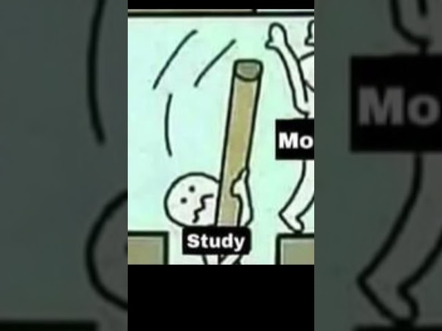 Whenever I try to Study College life Memes #memes #shorts