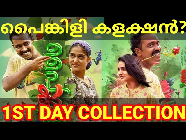 Painkili 1st Day Boxoffice Collection |Painkili Kerala Collection #Painkili #AnaswaraRajan #SajinGop