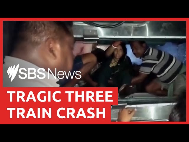 Nearly 300 killed in Odisha, India train collision | SBS News