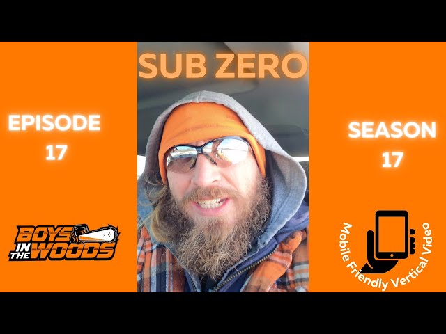 Sub Zero - episode 17 of season 17 #logging in #cold #stihl #husqvarna #timberjack