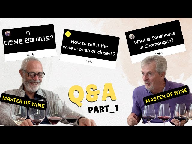 Uncorking Wine Secrets! 🍷 Masters Answer Your Top Questions