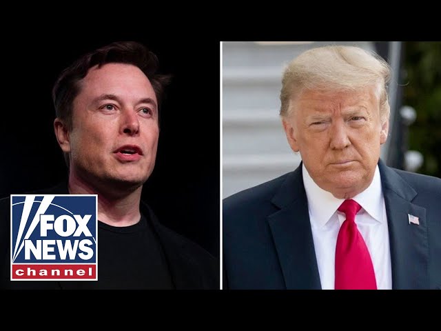 Elon Musk says Trump agrees USAID should be shut down: It's 'beyond repair'