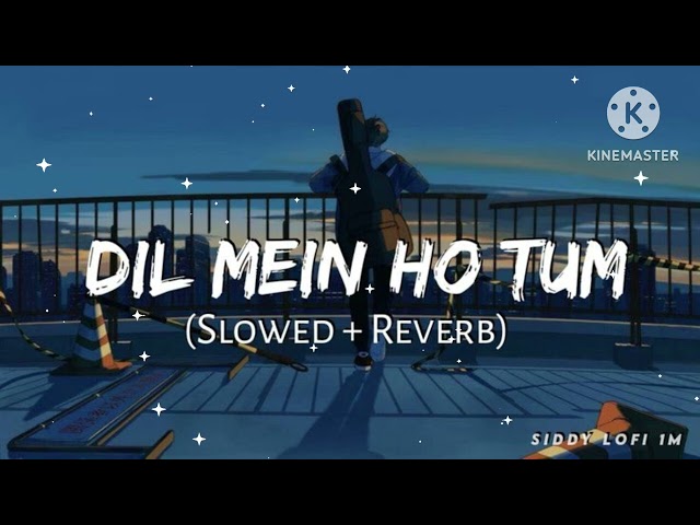 DIL MEIN HO TUM || new song Romantic 🥰 { Slowed + Reverb} Lofi #lovesongs #music #arijitsingh #sad