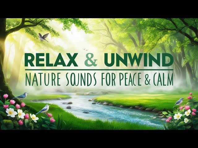 Relaxing Nature Sounds I Peaceful Forest Ambiance for Stress Relief with Nature Sounds and Birdsong