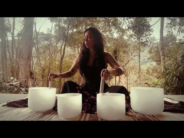 forest sound healing 🌙  singing bowls |12min