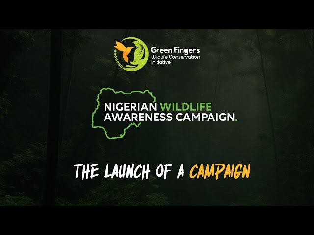 THE NIGERIAN WILDLIFE AWARENESS CAMPAIGN