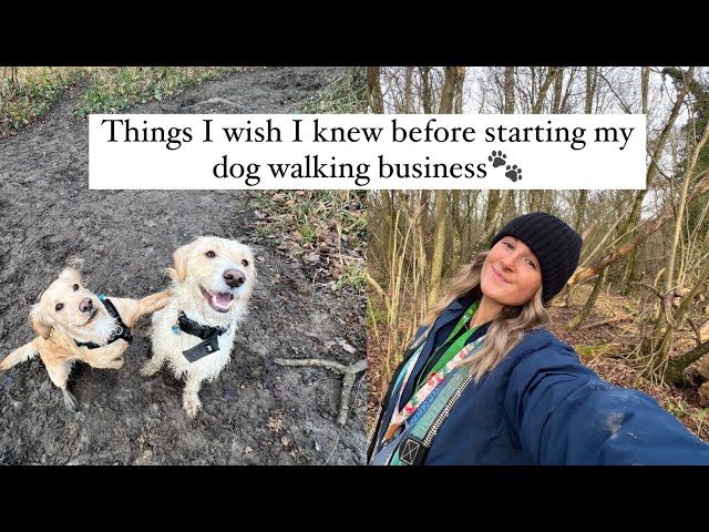 things I wish I knew before starting a dog walking business | All Paws Outdoors