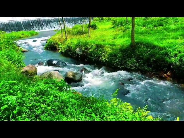 Relaxing River Sound Guaranteed your stress will disappear and your sleep will become soundly