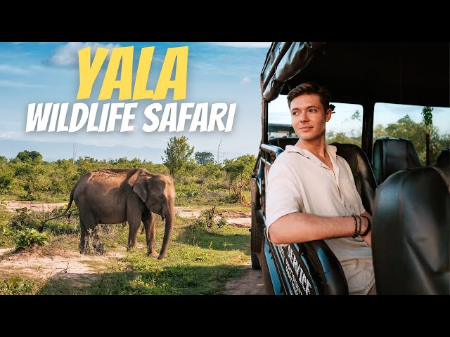 Unexpected Surprises on Our First Safari! | Yala National Park, Sri Lanka 🇱🇰