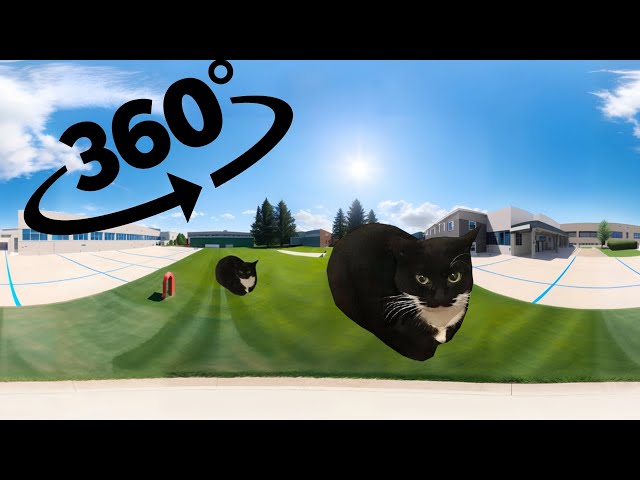 Maxwell The Cat 360° -  IN THE SCHOOL YARD | VR/360 VUDEO IN 4K