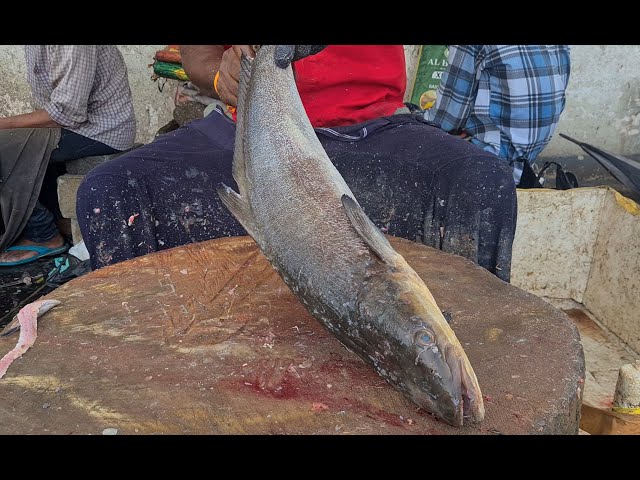 SEA VIRAL 🤤 FISH CUTTING 🔪 AMAZING  FISH CUTTING SKILLS 🔥🔥