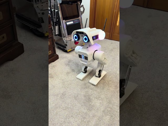 EB-6 Walking experiment: Tipsy robot