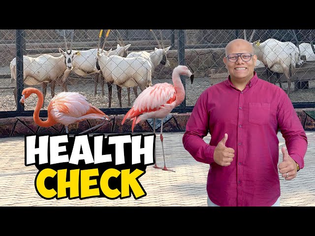 Treatment k baad kya hua?Health Check on Oryx🦌and Flamingo🦩Post-Treatment✅| BT Farm Stories Vlog #16