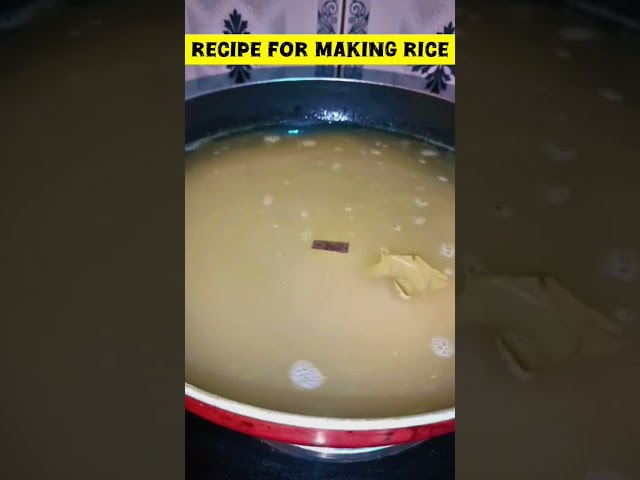 Why Boiled Rice is the Ultimate Survival Food