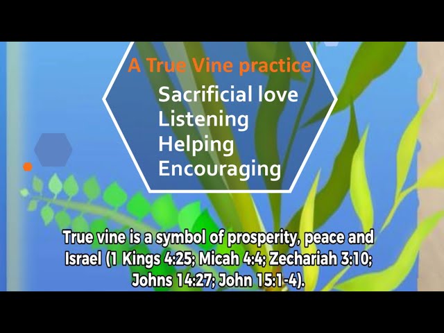 Remain in My Love True Vine. #Husbandman #Branches #AbideinGod