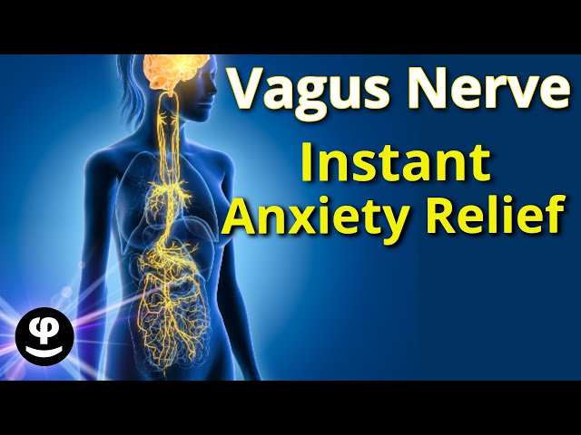 The Ultimate Vagus Nerve Deep Sleep Sound Therapy